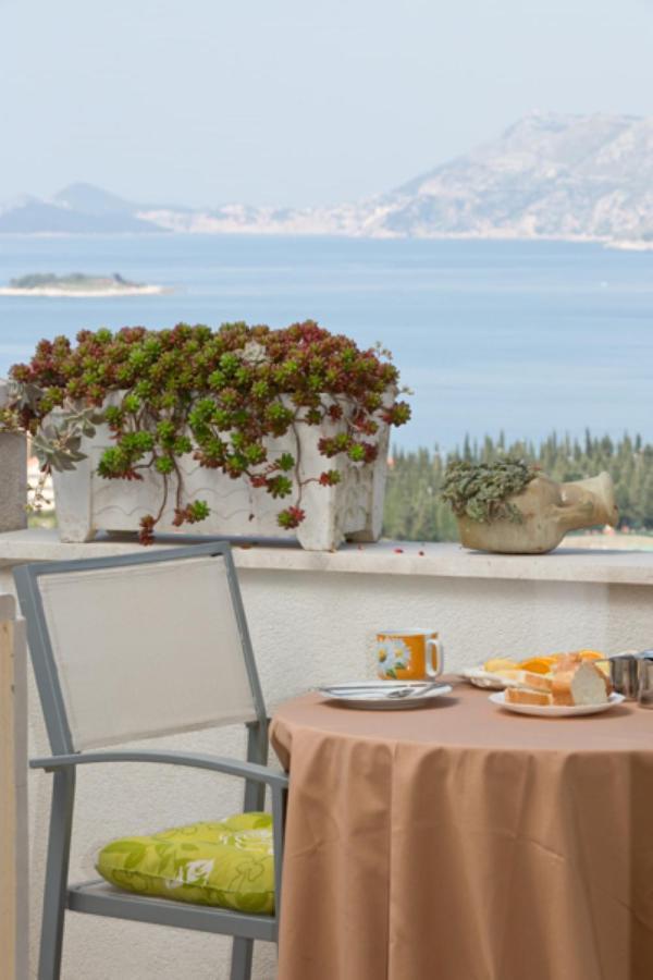 Apartments Carol Cavtat Extérieur photo