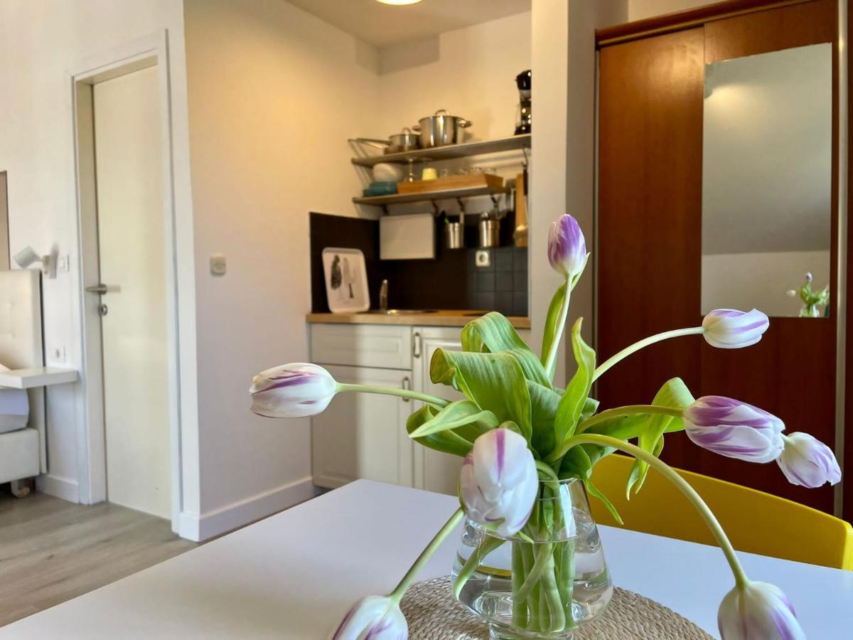 Apartments Carol Cavtat Extérieur photo